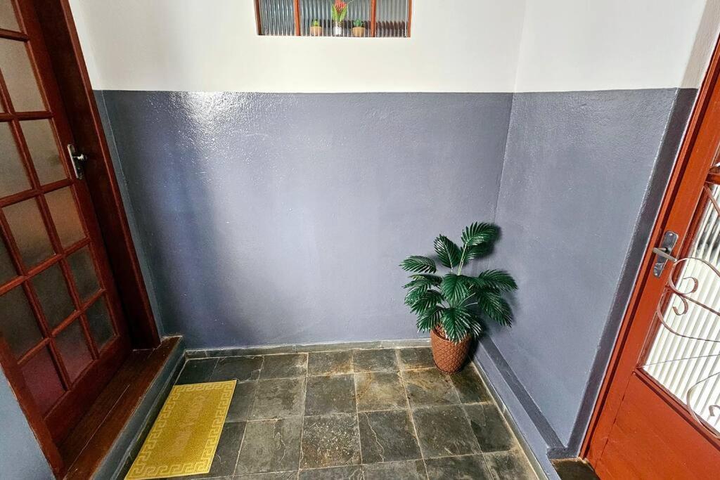 Casa Dos Coelhos, 750M Do Centro, Ate 12 Pessoas Villa ทีราเดนเจส ภายนอก รูปภาพ